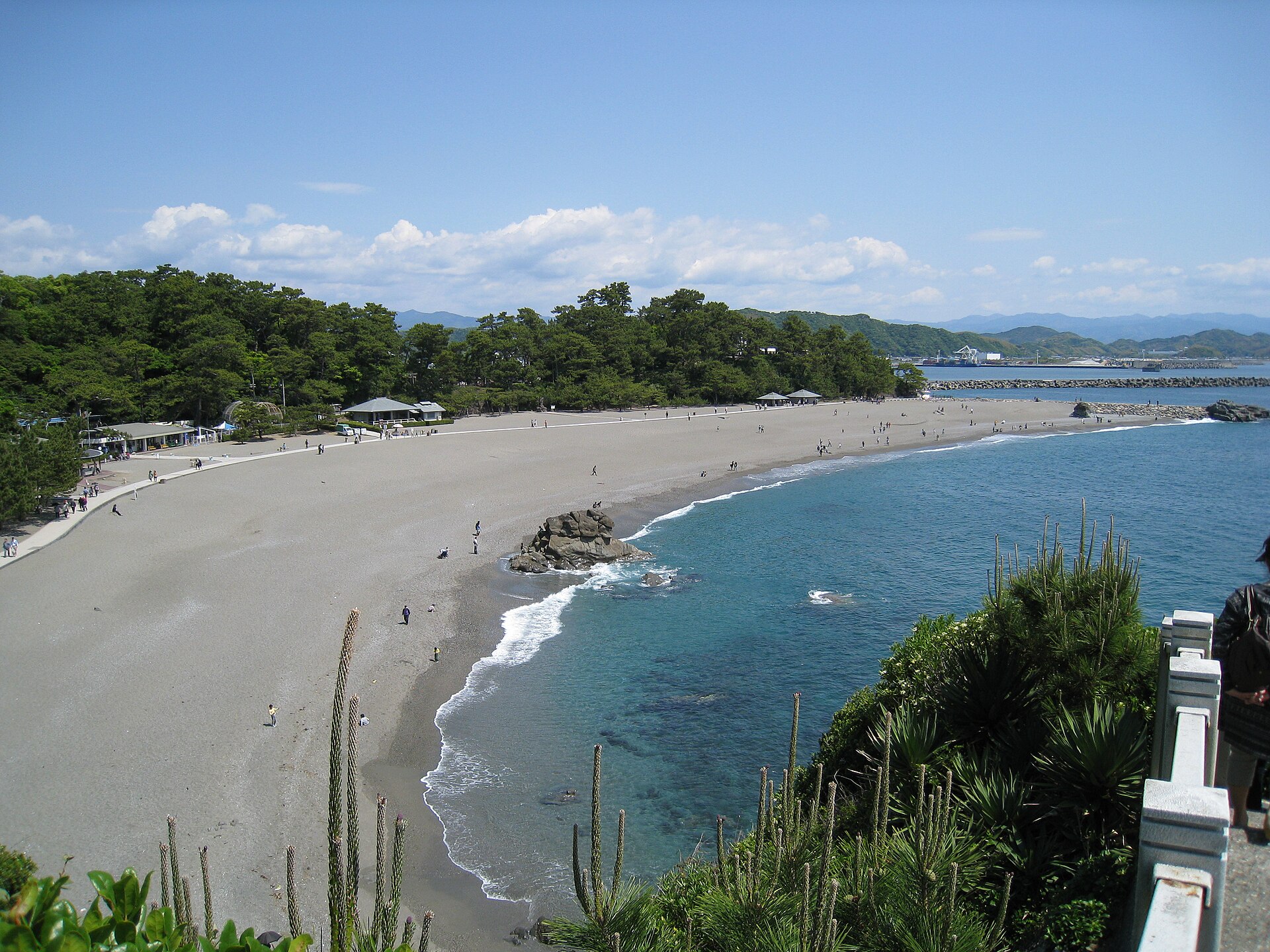 从岬角高处俯瞰桂浜，整片新月形沙滩、后方的松林与凉亭，以及防波堤边碧绿的浅水。
