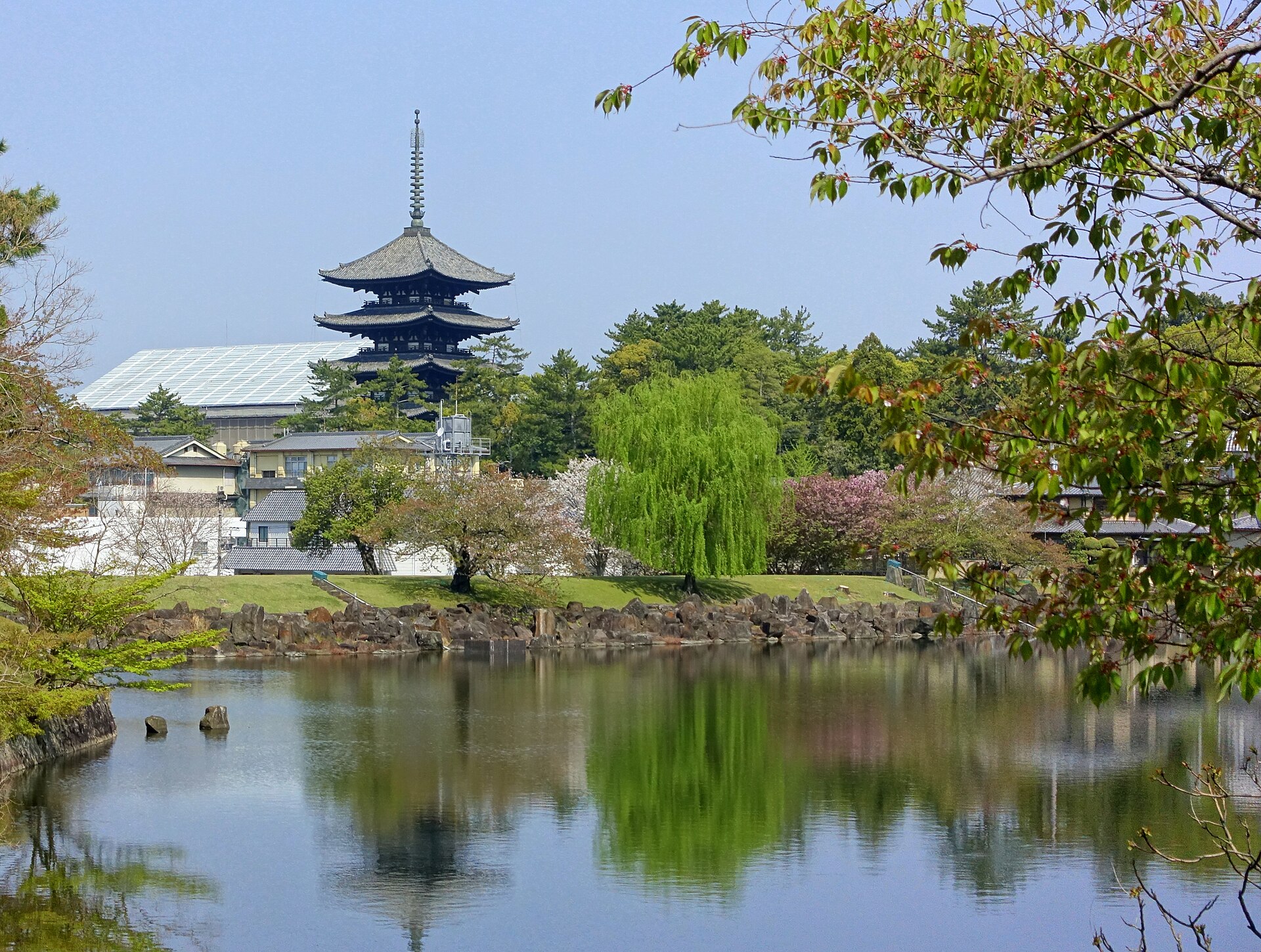 奈良公园与兴福寺五重塔。