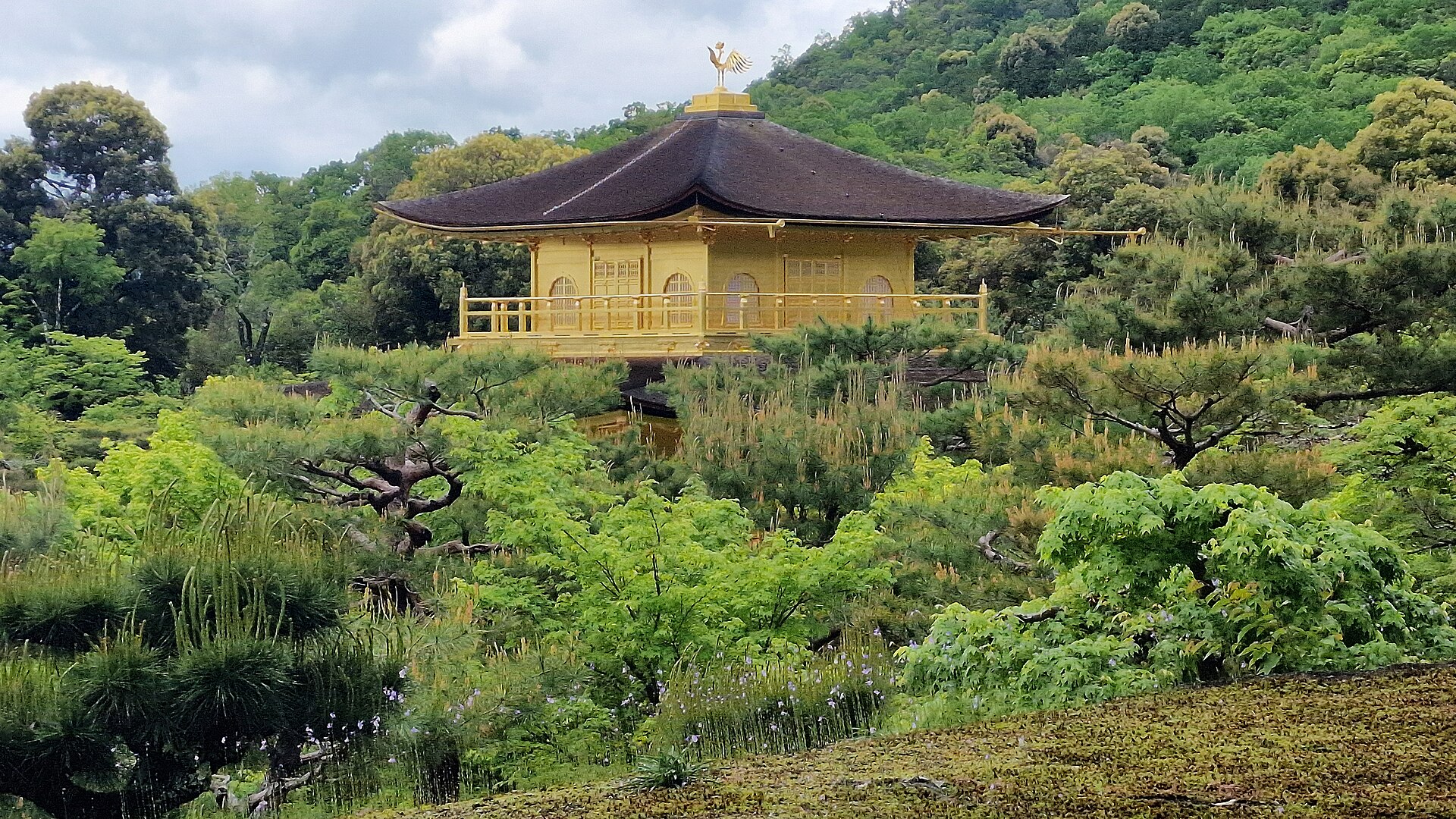 从另一角度望向金阁寺的金阁，楼阁与周围庭园一同入镜。