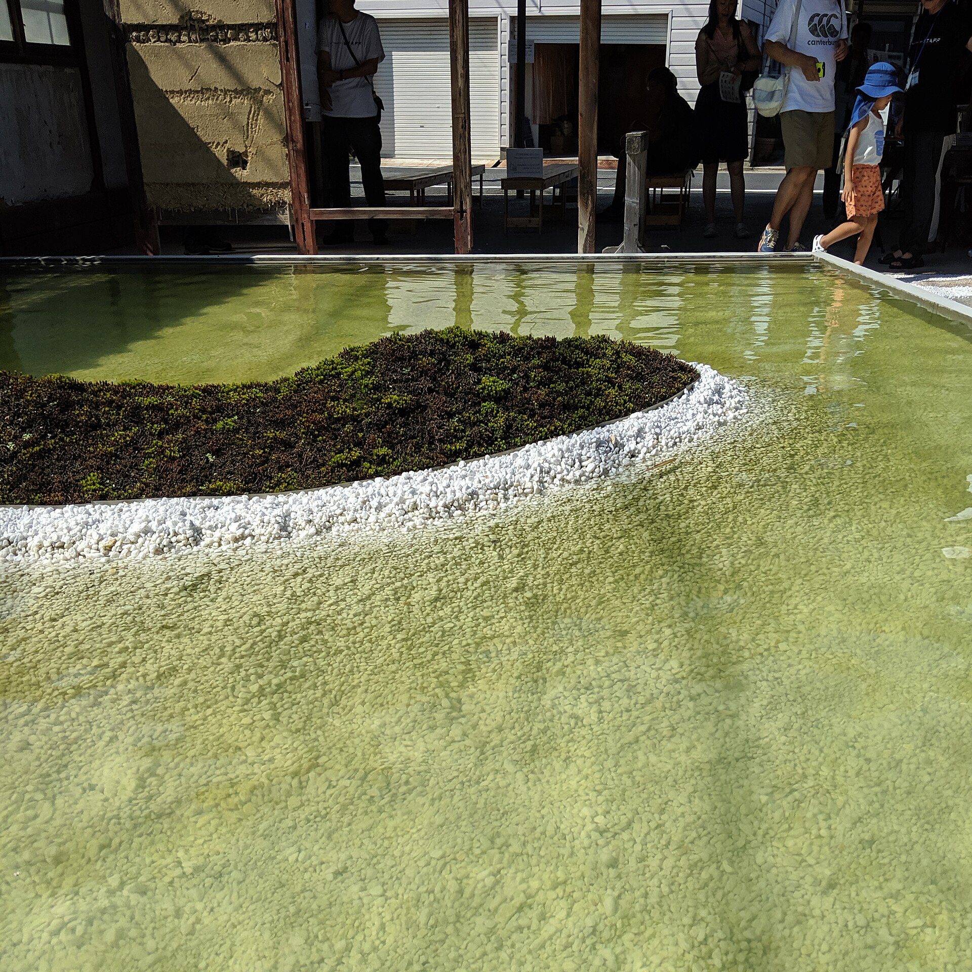「The Naoshima Plan 水」展场的室内，中央是一方水庭。
