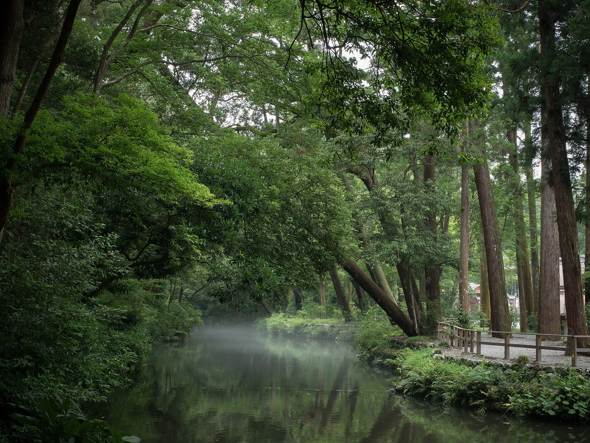 清晨五点，薄雾笼罩伊势神宫境内的池塘水面。