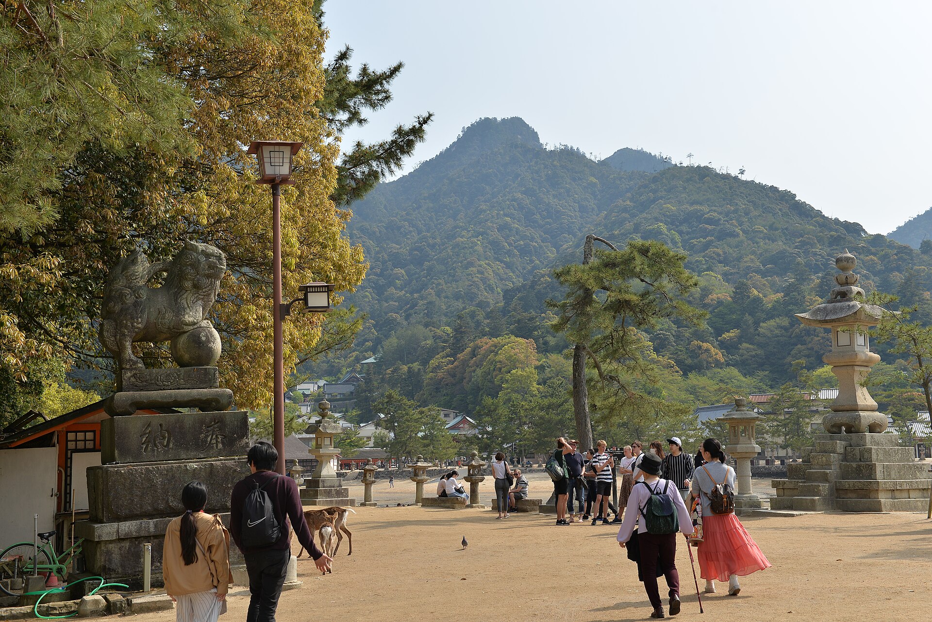 从宫岛渡轮码头通往严岛神社的步道，步行约十五分钟的沿途景象。