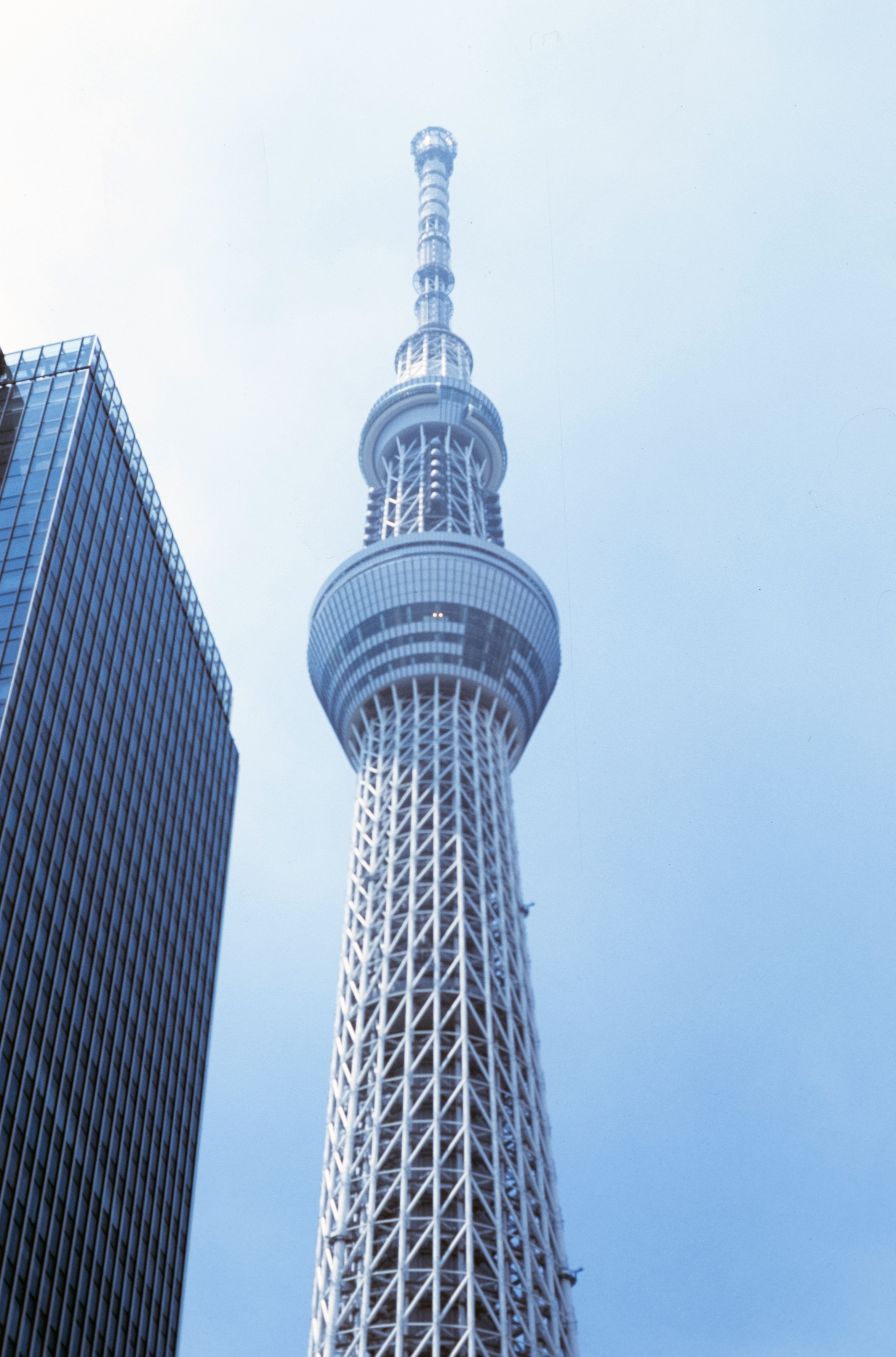 从南侧地面仰望东京晴空塔。