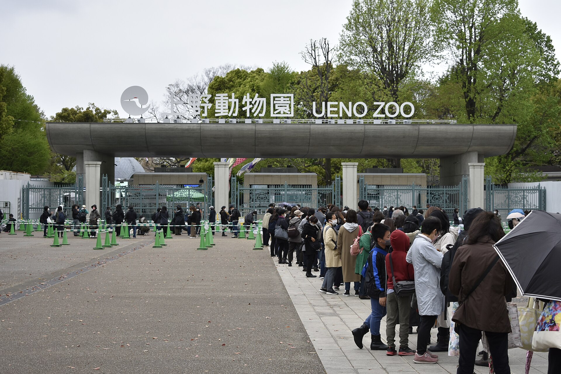 上野动物园表门外等待入园的人群,铁门紧闭。
