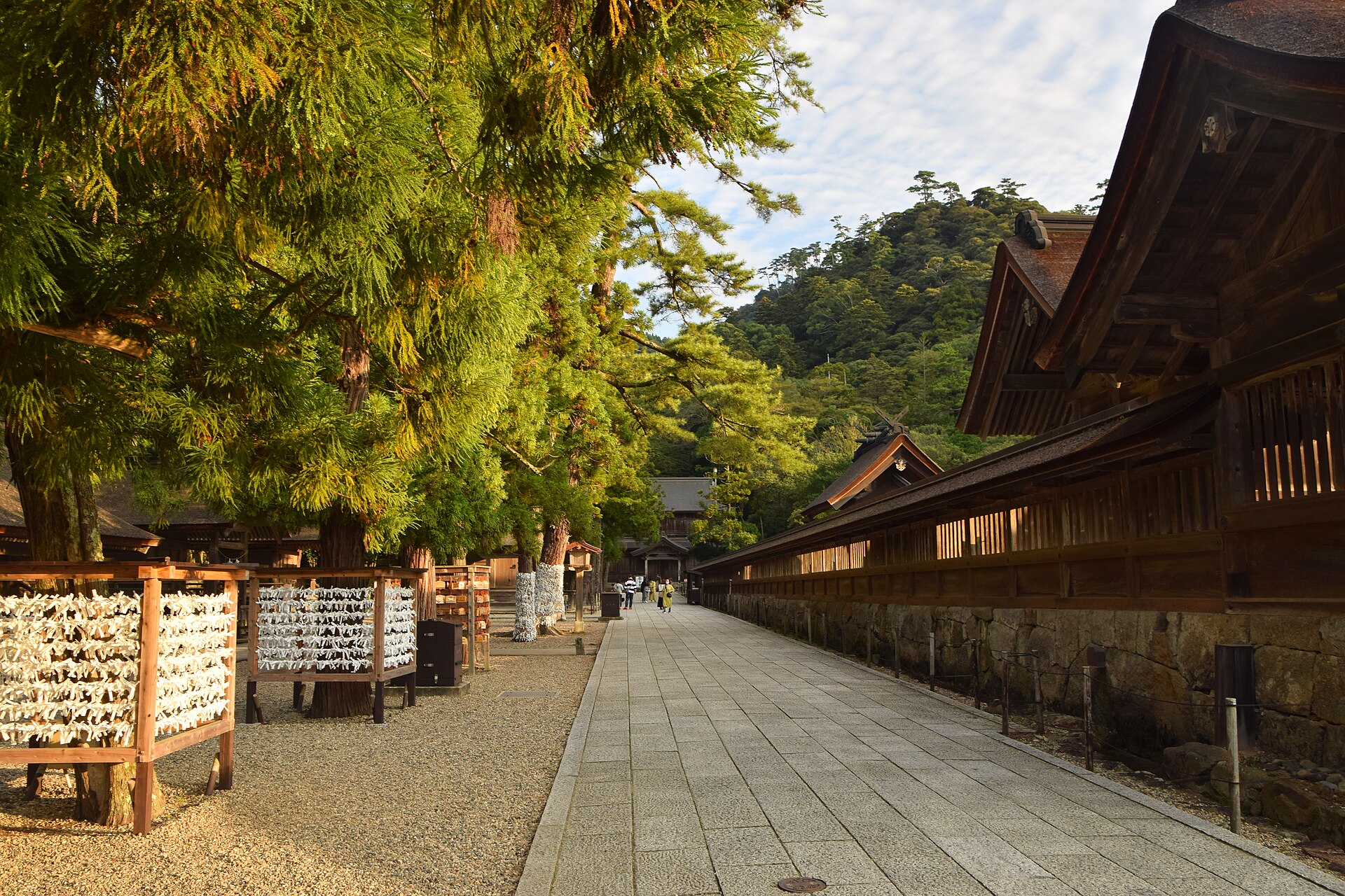 出云大社的户外一景，岛根县出云市这座神社的境内景象。