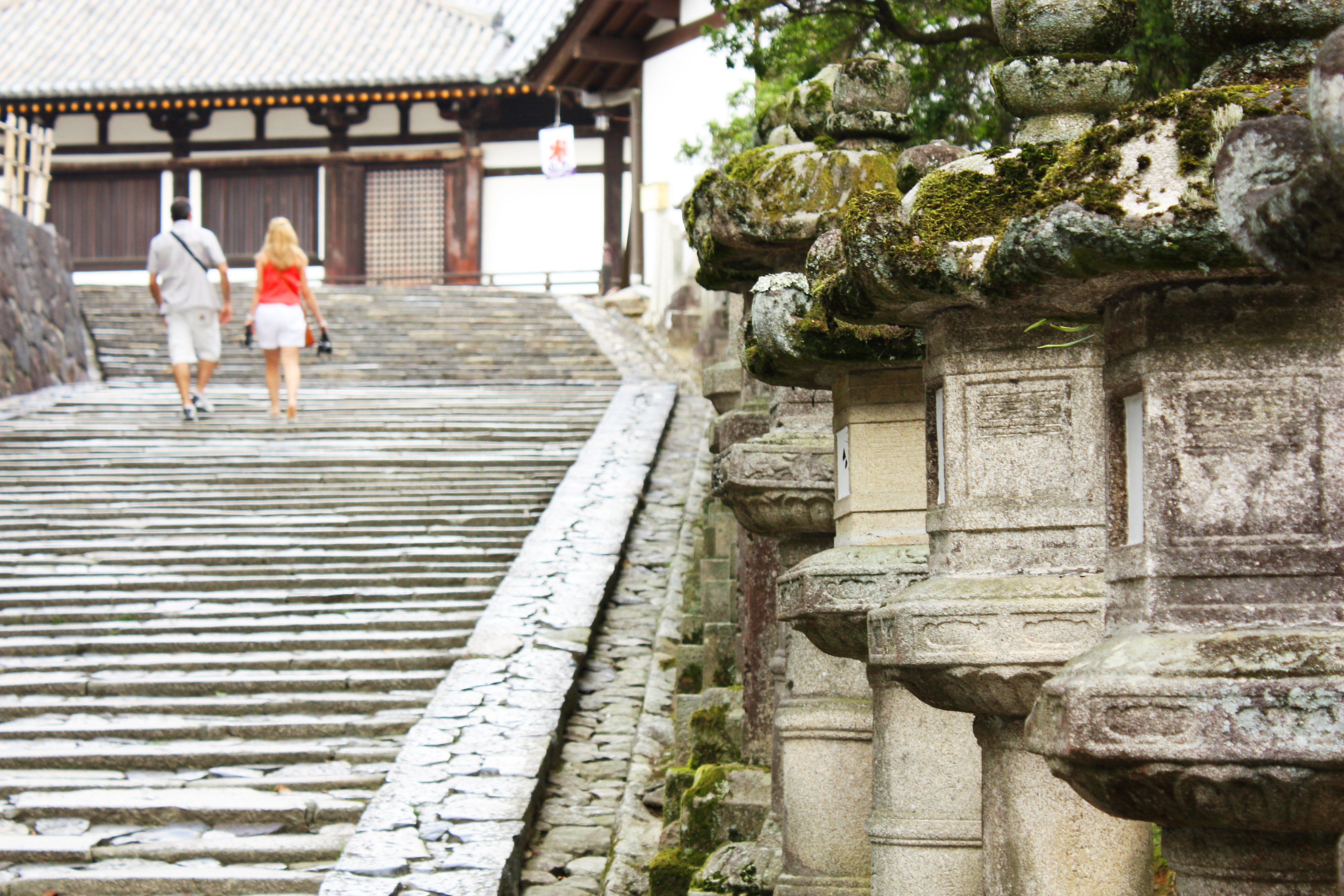 奈良东大寺前由石灯笼与树木围绕的参道。