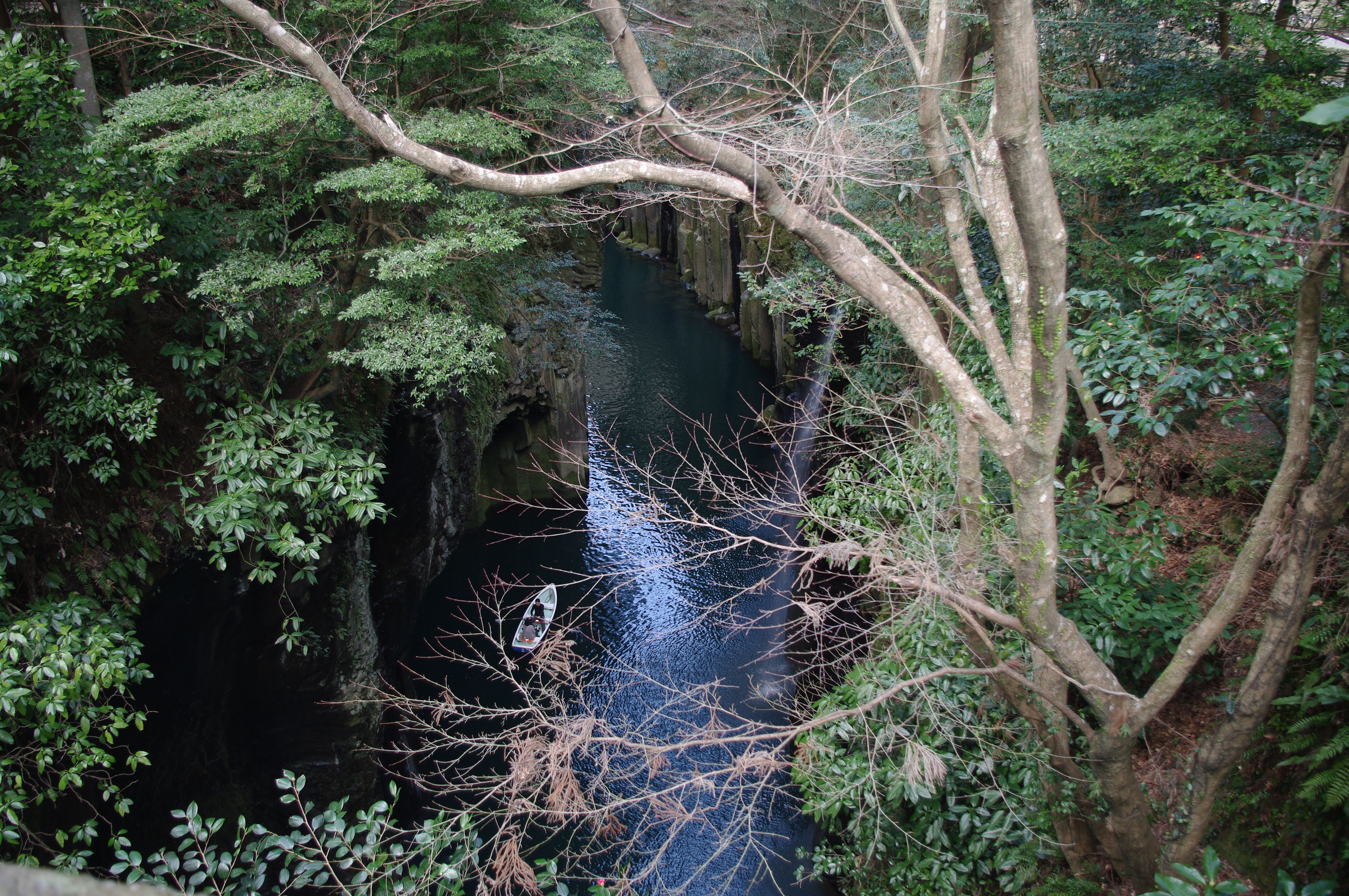 高千穗峡层叠岩壁、河流与悬垂植被。